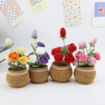 Crocheted Planter - Ombré Rose