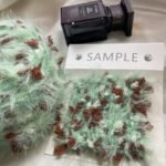 Mint Chocolate Hand-Blended Yarn - Image 4