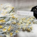 Tangled Bloom Field — Hand-Blended Yarn