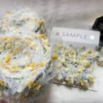 Tangled Bloom Field — Hand-Blended Yarn - Image 4