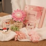 Potted Plant Gift Box Set