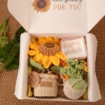 Potted Plant Gift Box Set