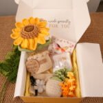 Potted Plant Gift Box Set
