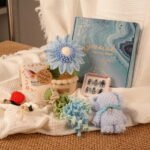 Potted Plant Gift Box Set